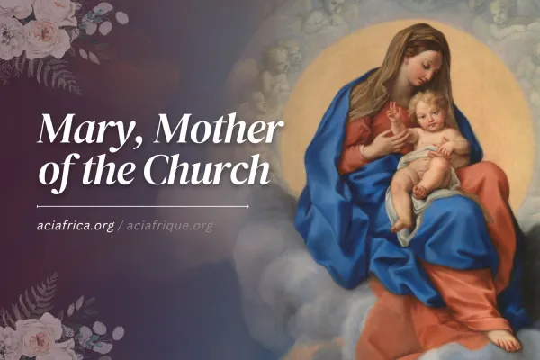 20 May 2024: The Memorial of Mary, Mother of the Church