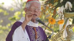 Maurice Cardinal Piat, Bishop of Port Louis in Mauritius. / Diocese of Port Louis