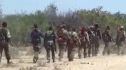 A group of militants that was seen crossing into Tanzania near the Namoto forest on Wednesday, May 5/ Credit: Denis Hurley Peace Institute