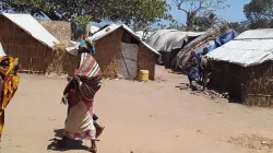 A village in Mozambique. Credit: Courtesy Photo