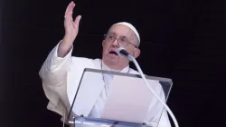 Pope Francis addresses the crowd gathered in St. Peter's Square for his Angelus address on Aug. 25, 2024. / Credit: Vatican Media