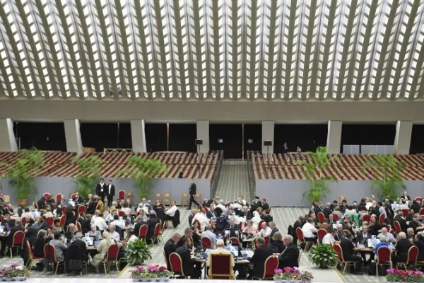 Synod on Synodality Members Ask "for greater discernment" of Church Teaching on Sexuality