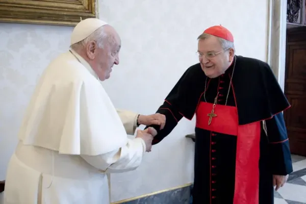 Pope Francis Meets With U.S.-born Cardinal amid Salary, Apartment Controversy