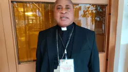 Peter Ebere Cardinal Okpaleke of Nigeria's Ekwulobia Diocese. Credit: ACI Africa