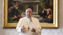 Pope Francis speaks during a general audience in the library of the Apostolic Palace. Credit: Vatican Media.