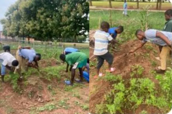 Salesians in Ghana Highlight Success of Three-month Program “in organic agriculture”