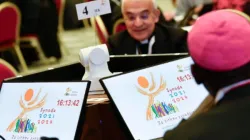 Participants in the synodal meetings in Paul VI Audience Hall-Vatican City. Credit: Vatican Media