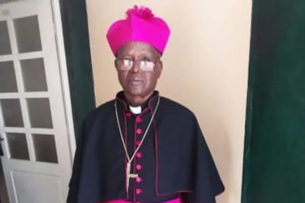 Pioneer Catholic Bishop of Mozambique’s Gurué Diocese Dies after Protracted Illness at 73