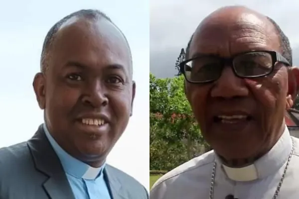 Pope Francis Accepts Retirement of Catholic Bishop in Madagascar, Appoints Successor