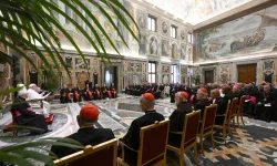 Pope Francis meets with the Dicastery for Culture and Education at the Vatican on Nov. 21, 2024. / Credit: Vatican Media