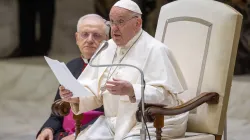 Pope Francis continued a series of lessons on the Holy Spirit during his weekly meeting with the public in the Vatican's Paul VI Hall on Aug. 21, 2024. / Credit: Daniel Ibanez/CNA