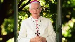 Maurice Cardinal Piat of Port Louis Diocese in Mauritius. Credit: Diocese of Port Louis