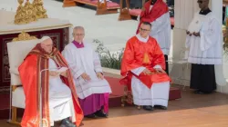 Pope Francis presided over Palm Sunday Mass in St. Peter's Square on April 2, 2023. | Daniel Ibanez/CNA