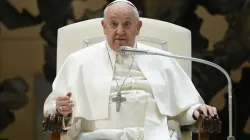 Pope Francis addresses the faithful at his Wednesday general audience on Feb. 28, 2024. / Credit: Vatican Media