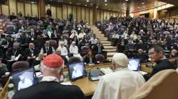 Pope Francis meets with members of the French-based academic organization Research and Anthropology of Vocations Institute on March 1, 2024, at the Vatican. | Credit: Vatican Media