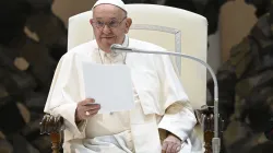 Pope Francis addresses pilgrims gathered in the Paul VI Audience Hall at the Vatican during his Wednesday general audience on Aug. 7, 2024. / Credit: Vatican Media