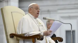 Pope Francis addresses pilgrims gathered for his Wednesday general audience on Nov. 20, 2024, in St. Peter’s Square at the Vatican. / Credit: Vatican Media