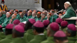 Pope Francis addresses bishops gathered in St. Peter’s Basilica at the Vatican for the Synod on Synodality closing Mass on Oct. 27, 2024. / Credit: Vatican Media