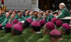 Pope Francis addresses bishops gathered in St. Peter’s Basilica at the Vatican for the Synod on Synodality closing Mass on Oct. 27, 2024. / Credit: Vatican Media