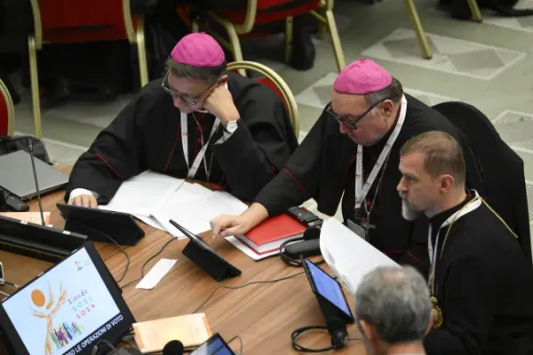 The Openness of the Synod on Synodality "will change the Church": Relator General