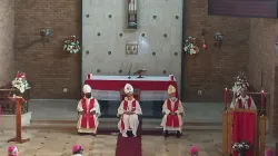 Bishop João Noé Rodrigues during his homily at the opening Eucharistic Celebration for the first annual Plenary Assembly of the Southern African Catholic Bishops’ Conference (SACBC). Credit: Sheila Pires