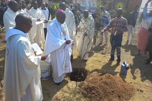 Catholic Commission Promoting “environmental justice” in Southern African Archdiocese