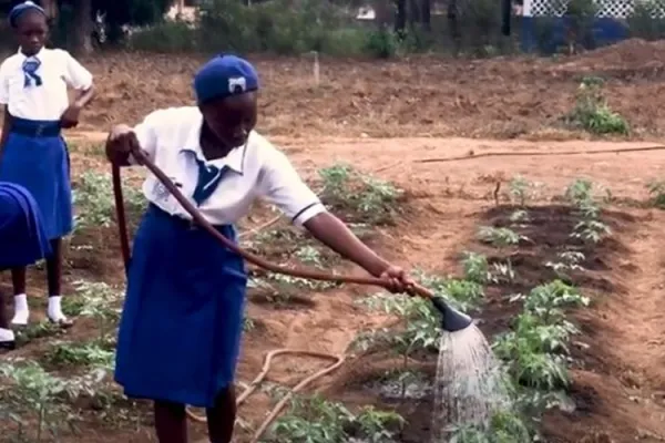 Salesians’ Climate Club in Sierra Leone on Environment to Benefit Thousands of Youth