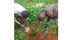 Ongoing farming at St. Joseph's Farm in Sagamu, Nigeria / Salesians of Don Bosco Ireland