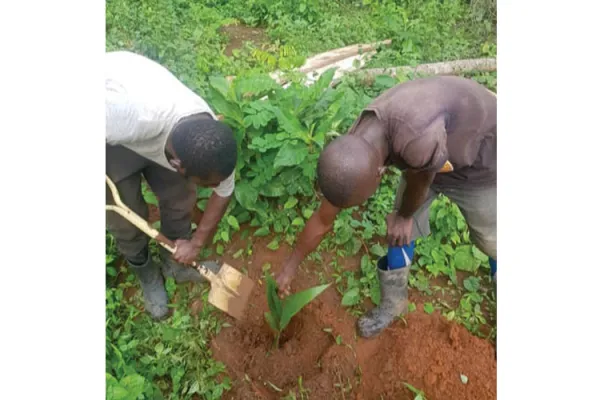 Planned Salesian Agricultural Training to Benefit Thousands of Nigeria’s Youth, Widows