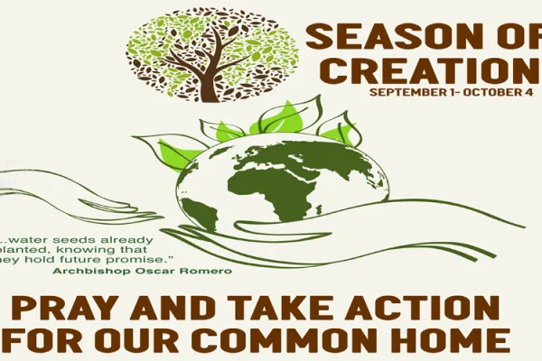 Logo Season of Creation 2020.
