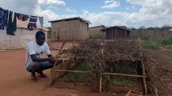 A young man the to seedlings inside a refugee camp in Mozambique's Archdiocese of Nampula/ Credit: Denis Hurley Peace Institute