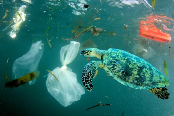 Faith Meets Ecology: World Youth Day Rosaries Made from Ocean Plastic