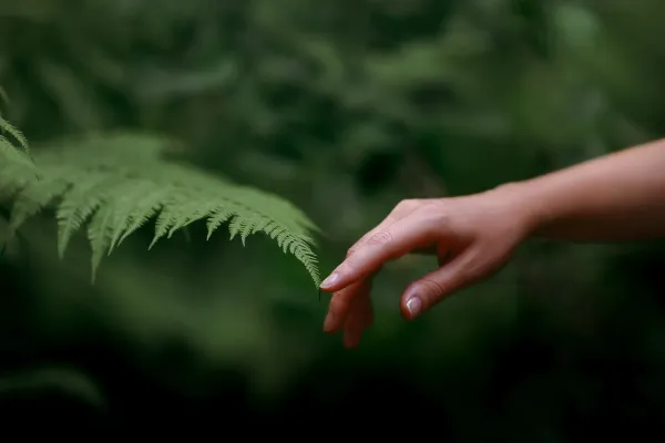 Pope Francis on Prayer for Creation Day: Caring for the Environment is an "act of love"