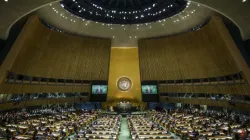 The United Nations General Assembly in New York. | Drop of Light/Shutterstock.