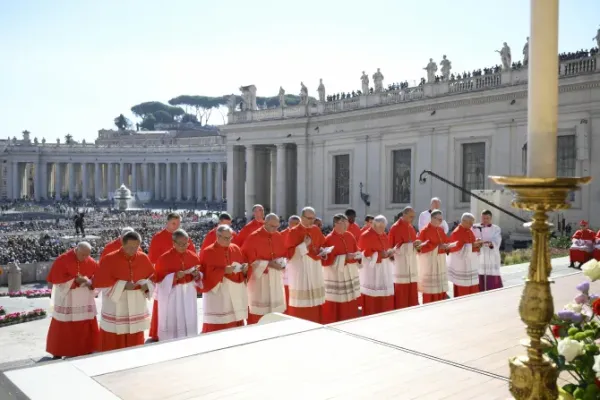 We Asked the New Cardinals: How Should the Church Evangelize the World Today?