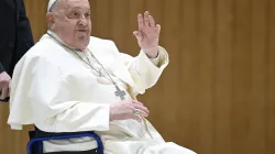 Pope Francis greets visitors at his general audience at the Vatican, Wednesday, Feb. 12, 2025. / Credit: Vatican Media