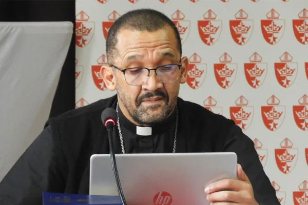 South African Catholic Bishop Advocates for Rural Investment, Multiple “economic agents”