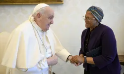 Pope Francis’ arm, tied up in a white sling, was visible in photos taken on the morning of Jan. 16, 2025, in the apostolic palace during his scheduled audiences. / Credit: Vatican Media