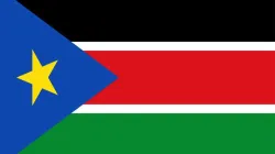 Flag of South Sudan / Public Domain