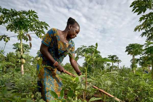 Catholic Entity in South Sudan Seeking Partnerships to Address Food Security Challenge