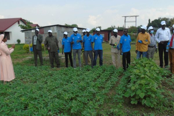 Nuns Introduce New Farming Methods to over 25,000 Households in South Sudan