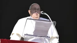 Pope Francis speaks to the crowd gathered on St. Peter’s Square, Jan. 1, 2025. / Credit: Vatican Media