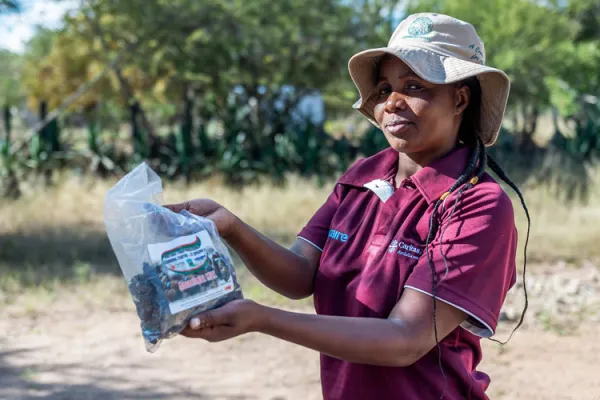 Catholic Entity “on the ground in Zimbabwe” to Address “looming crisis” of Food Shortage