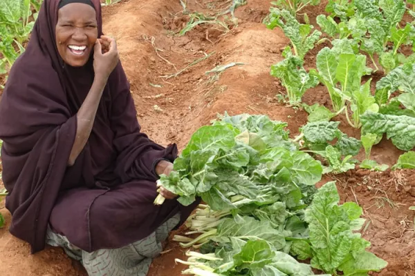 Catholic Entity’s Vegetable Farming Initiative Improving IDPs’ Livelihoods in Somalia