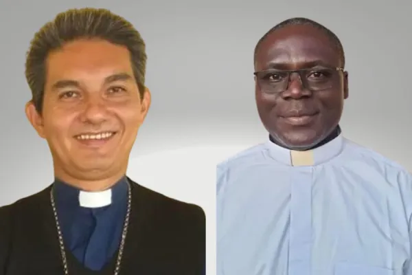 Pope Appoints Auxiliary Bishop in Malawi, Archbishop in Mozambique