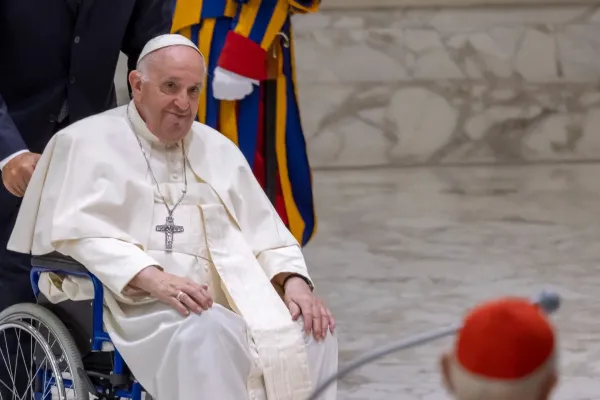 Pope Francis Cautions against "arbitrary and ideological adaptations" to Church Ministries