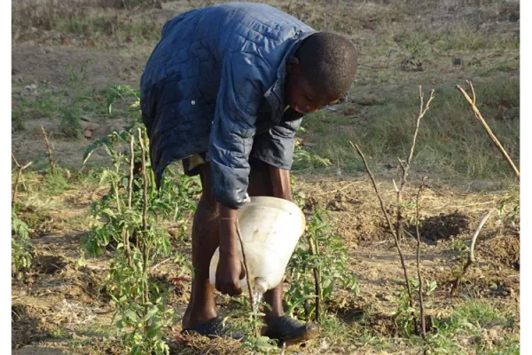 Salesians in Zambia Undertaking Agricultural Projects to Educate, Feed Children