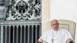 Pope Francis speaks at the general audience Sept. 25, 2019. Credit: Daniel Ibanez/CNA