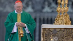 Cardinal Kevin Farrell celebrates Mass for the World Meeting of Families 2022 on June 25, 2022. / Credit: Daniel Ibañez/CNA