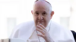 Pope Francis at his Wednesday general audience on April 12, 2023. | Daniel Ibanez/CNA